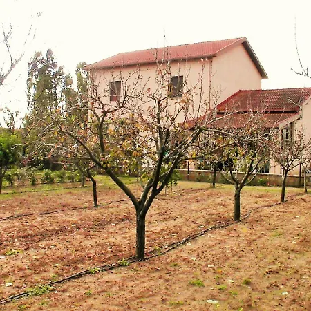 Holiday home Pietrina Del Mejlogu *